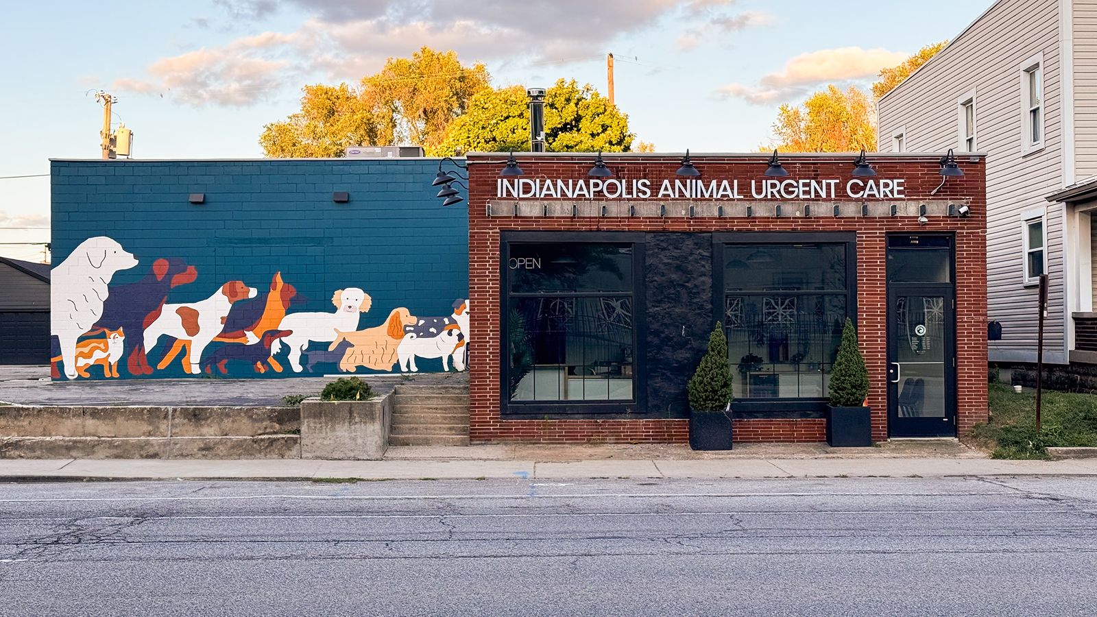 Exterior of Indianapolis Animal Urgent Care featuring bold dog mural and brick storefront.