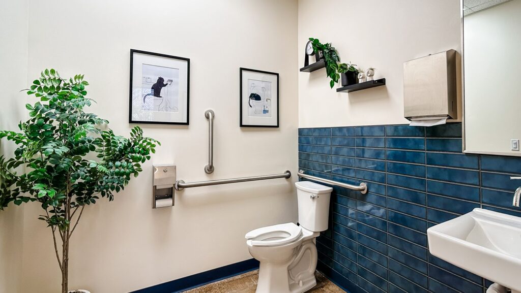 Accessible restroom with blue tile accents and modern pet care facility finishes.