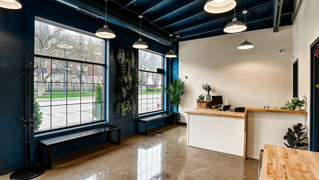 Reception area with natural light, greenery, and minimalist veterinary clinic design.
